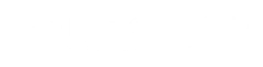 SaunaBoy 